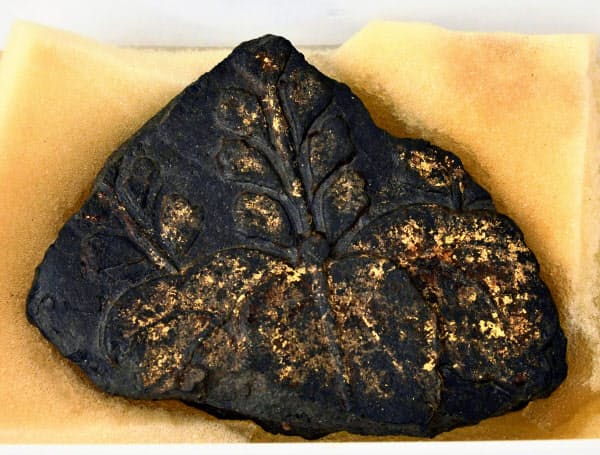 京都仙洞御所内で見つかった金箔を施したキリ紋の瓦=12日