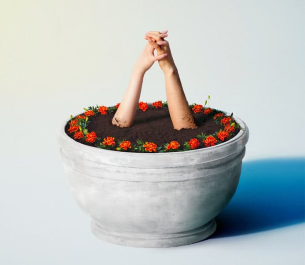 嵐 Zard 今こそ聴きたい 元気になれる歌15選 Nikkei Style 嵐 Zard 今こそ聴きたい 元気になれる歌15選 Nikkei Style