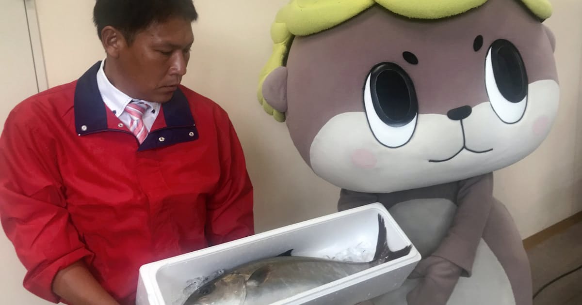 新型コロナ 行き場ないカンパチ万匹 ネットで販売 四国の産地 日本経済新聞 新型コロナ 行き場ないカンパチ万匹 ネットで販売 四国の産地 日本経済新聞
