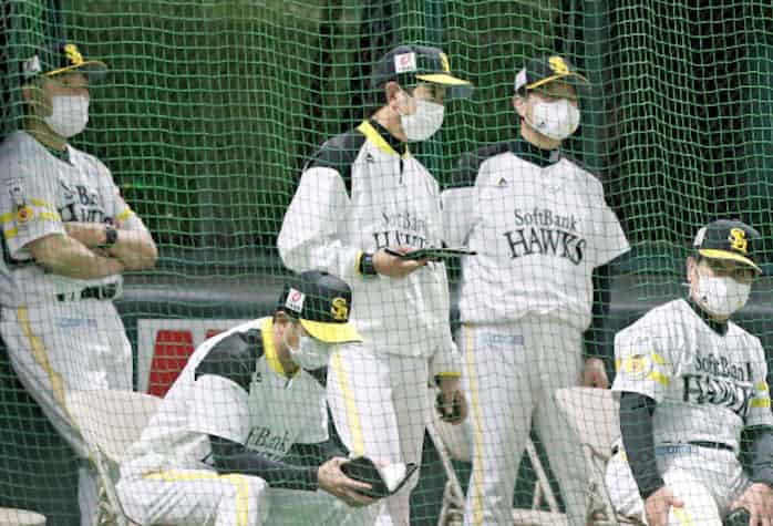 Template ヨーロッパの野球ナショナルチーム Template Europe Baseball Teams Japaneseclass Jp Template ヨーロッパの野球ナショナルチーム Template Europe Baseball Teams Japaneseclass Jp