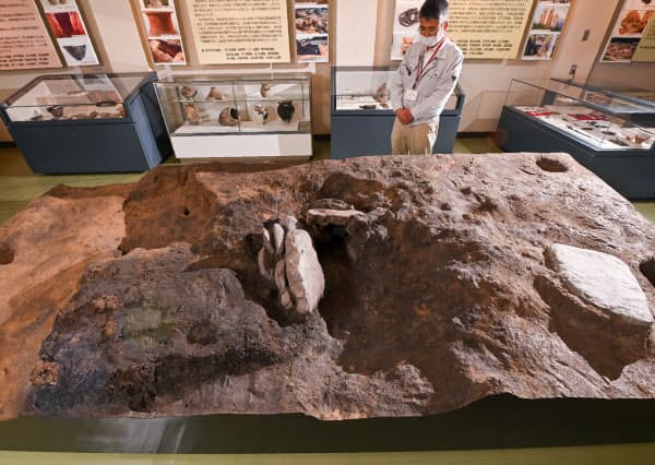 数ミリの厚さで剥ぎ取った新屋宮ノ段遺跡の精錬鍛冶炉遺構(鳥取県米子市)=大岡敦撮影
