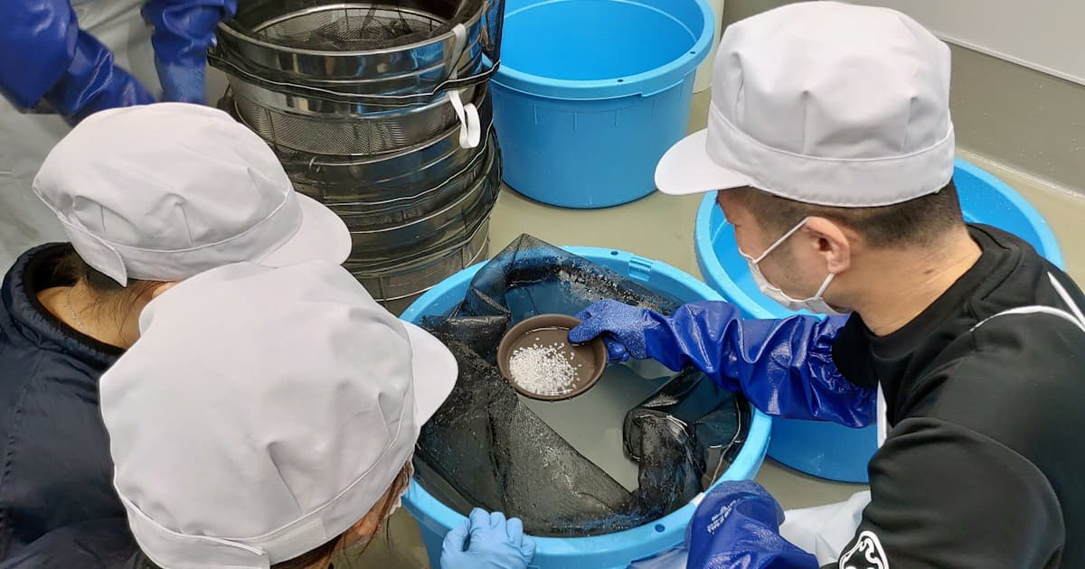 新型コロナ 上川大雪酒造の川端杜氏が大学教授に 国立では初 日本経済新聞