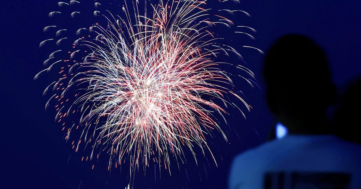 新型コロナ サプライズ花火 夏彩る 告知せず 悪疫退散 日本経済新聞 新型コロナ サプライズ花火 夏彩る 告知せず 悪疫退散 日本経済新聞