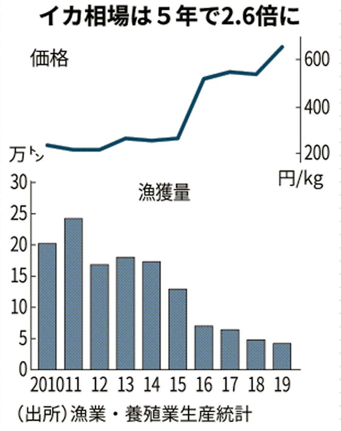 スルメイカ 初競り5割安 北海道南部で解禁 日本経済新聞 スルメイカ 初競り5割安 北海道南部で解禁 日本経済新聞