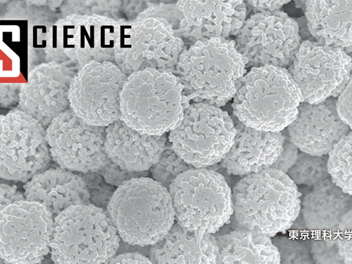巨大ウイルス出現 揺らぐ常識 新生命体へ進化 日本経済新聞 巨大ウイルス出現 揺らぐ常識 新生命体へ進化 日本経済新聞
