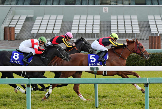 無観客の今 競馬場の 音 をtwitterで 日本経済新聞