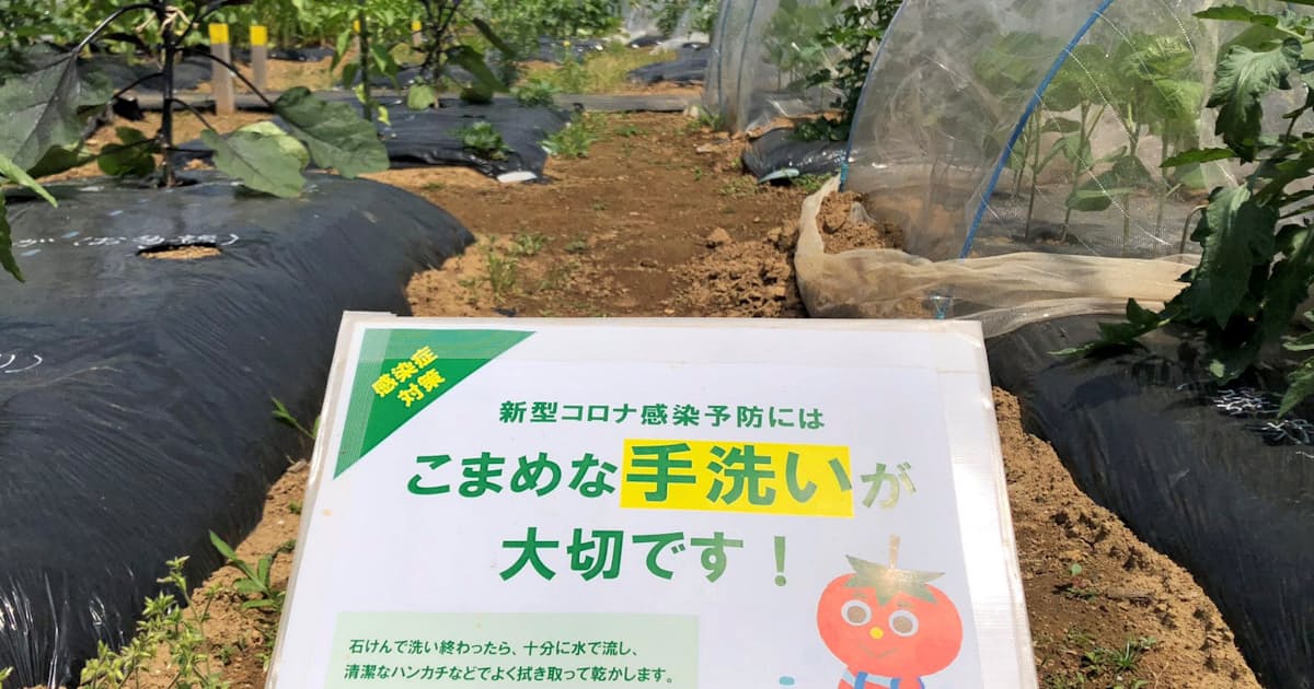 市民農園はサービス業 密集 回避で人気に 日本経済新聞 市民農園はサービス業 密集 回避で人気に 日本経済新聞