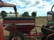 アイオワ州農家 トウモロコシ収穫の模様 アイオワ州農家 トウモロコシ収穫の模様