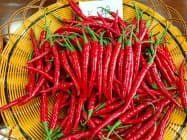 三井物産が出資する会社はトウガラシ種子で中国最大のシェアを持つ 三井物産が出資する会社はトウガラシ種子で中国最大のシェアを持つ