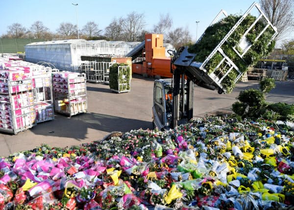 オランダ・ホンセラースデイクの花き卸売市場近くに廃棄された花(3月、ロイター)