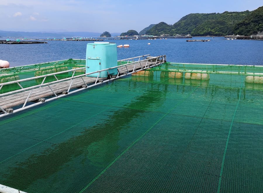 ドコモ サバ養殖を一元管理 生育映像で需要も開拓 日本経済新聞