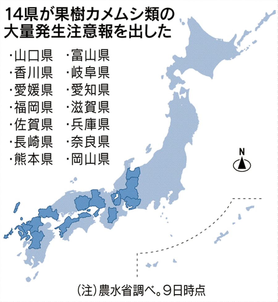果樹カメムシ 大量発生 農家に打撃 14県で注意報 日本経済新聞