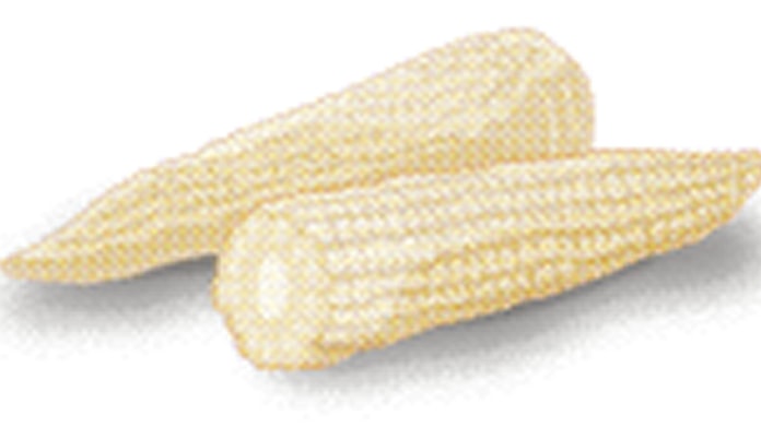 ヤングコーン サクッとした食感 日本経済新聞 ヤングコーン サクッとした食感 日本経済新聞