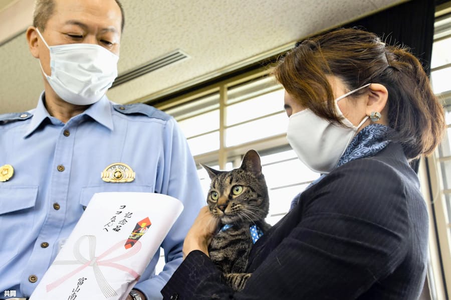 高齢者が用水路に転落 猫が発見 富山市 日本経済新聞