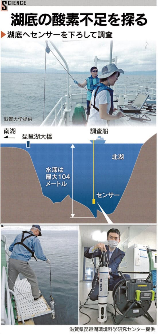 琵琶湖が 呼吸不全 酸欠の危機 生態系に影響も ココロ村 町 自然ソーシャルデザイン Com 琵琶湖が 呼吸不全 酸欠の危機 生態系に影響も ココロ村 町 自然ソーシャルデザイン Com