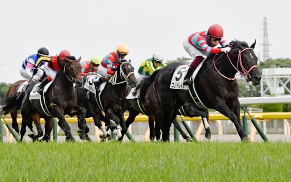 熱中症にかかる馬は14倍に 暑さ対策にシャワーも登場 日本経済新聞