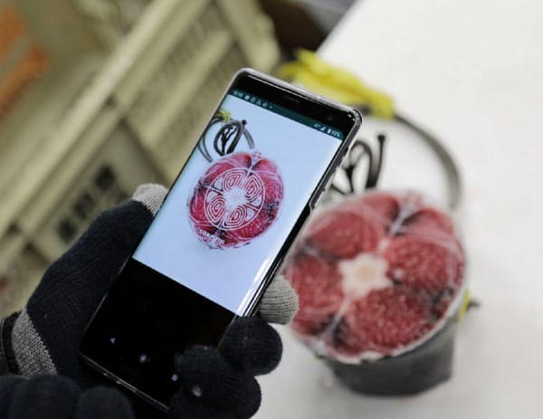 くら寿司 マグロの品質をai判定 仕入れに生かす 日本経済新聞 くら寿司 マグロの品質をai判定 仕入れに生かす 日本経済新聞