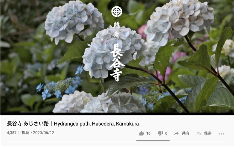 長谷寺は予約できなかった人などのために動画も制作した 長谷寺は予約できなかった人などのために動画も制作した