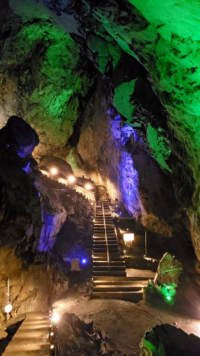 東京 奥多摩の日原鍾乳洞 9日に営業再開 日本経済新聞