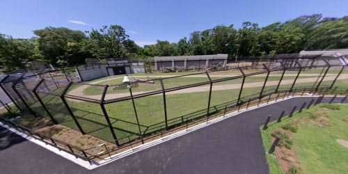 千葉市動物公園が開設する「チーターラン」