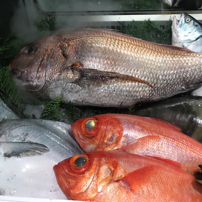 ヒラメ4割安 マダイ3分の1に 高級魚ピンチ 日本経済新聞 ヒラメ4割安 マダイ3分の1に 高級魚ピンチ 日本経済新聞
