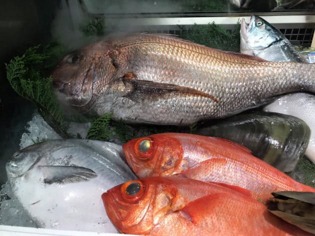 ヒラメ4割安 マダイ3分の1に 高級魚ピンチ ナウティスニュース