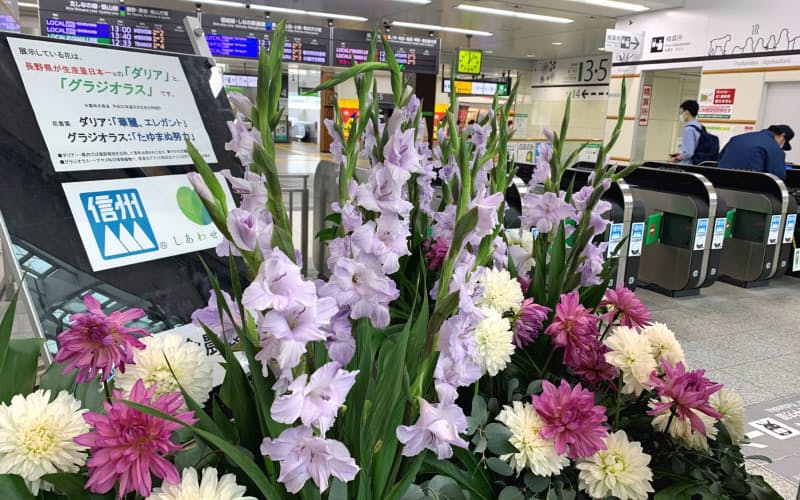 地元消費を促すために、駅構内で県産の花を展示する(JR長野駅) 地元消費を促すために、駅構内で県産の花を展示する(JR長野駅)