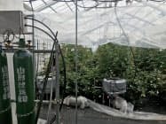 最適な栽培条件を探る野菜・花きスマートハウス(10日、山形県寒河江市の県園芸農業研究所) 最適な栽培条件を探る野菜・花きスマートハウス(10日、山形県寒河江市の県園芸農業研究所)