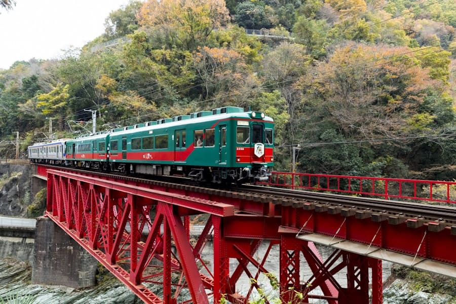 新型コロナ 南海電鉄 観光列車 天空 日に運行再開 日本経済新聞