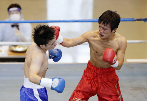 プロボクシングの興行再開 無観客 試合ごとに消毒も 日本経済新聞