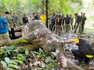 タイ東部チャンタブリ県の国立公園で見つかったゾウの死骸(8日)=国立公園・野生動物・植物保全局提供、共同 タイ東部チャンタブリ県の国立公園で見つかったゾウの死骸(8日)=国立公園・野生動物・植物保全局提供、共同