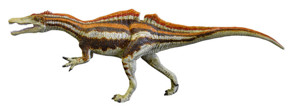 スピノサウルス科の歯18点 福井 勝山で化石発見 日本経済新聞