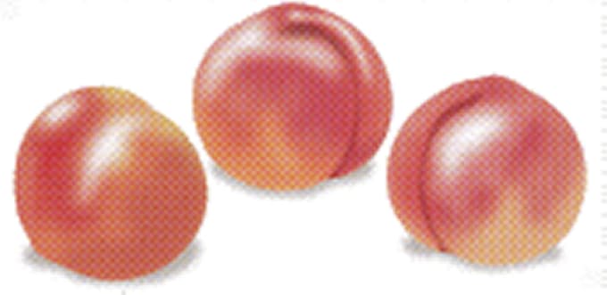 スモモ メロン並みに甘いものも 日本経済新聞