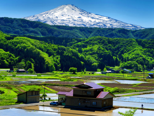 羊蹄山 開聞岳 鳥海山 大山 郷土の 富士 10選 日本経済新聞