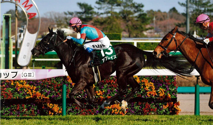 日本の競馬 世界最高水準 逆輸入騎手 藤井勘一郎さん 日本経済新聞