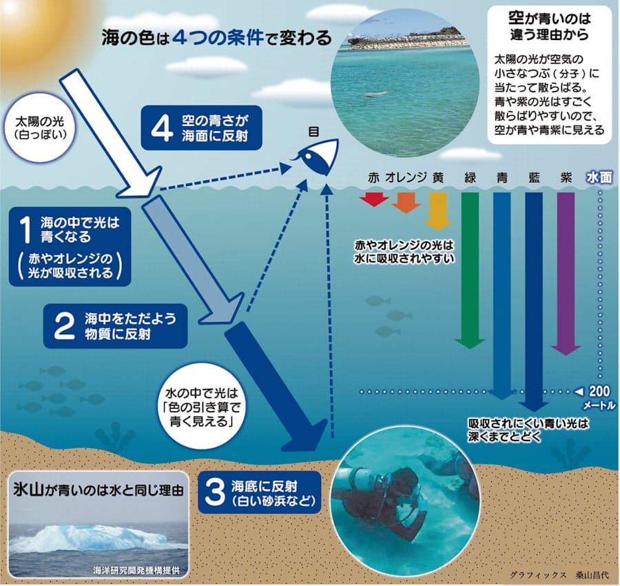 どうして海は青いの 親子スクール 日本経済新聞