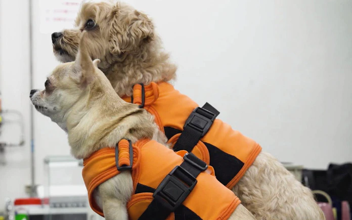 帝人がvr対応 東レは不整脈検知 スマート衣料続々 日本経済新聞 帝人がvr対応 東レは不整脈検知 スマート衣料続々 日本経済新聞