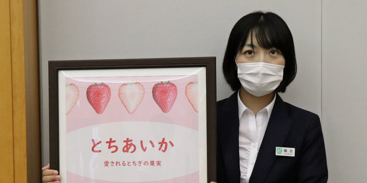 栃木の新イチゴの名称 とちあいか に決定 日本経済新聞