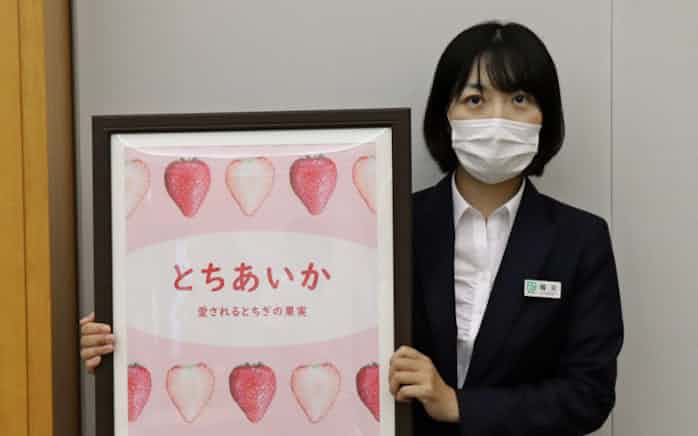 栃木の新イチゴの名称 とちあいか に決定 日本経済新聞