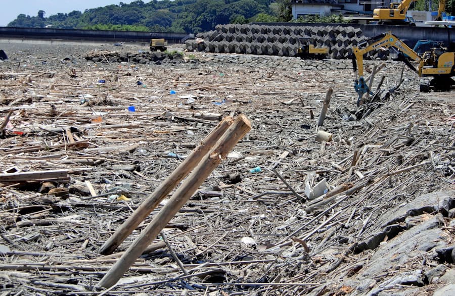 九州の海になお大量流木 豪雨漂着物 漁業の妨げに 日本経済新聞 九州の海になお大量流木 豪雨漂着物 漁業の妨げに 日本経済新聞