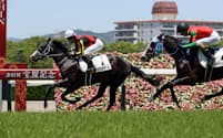 新種牡馬ドゥラメンテの産駒は2日までに6勝と好調だ(6月7日、阪神での新馬戦で同産駒初勝利を挙げたアスコルターレ)=JRA提供