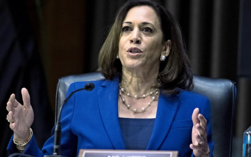 米民主党の副大統領候補に選ばれたカマラ・ハリス上院議員は西部カリフォルニア州の司法長官を務めた=AP 米民主党の副大統領候補に選ばれたカマラ・ハリス上院議員は西部カリフォルニア州の司法長官を務めた=AP