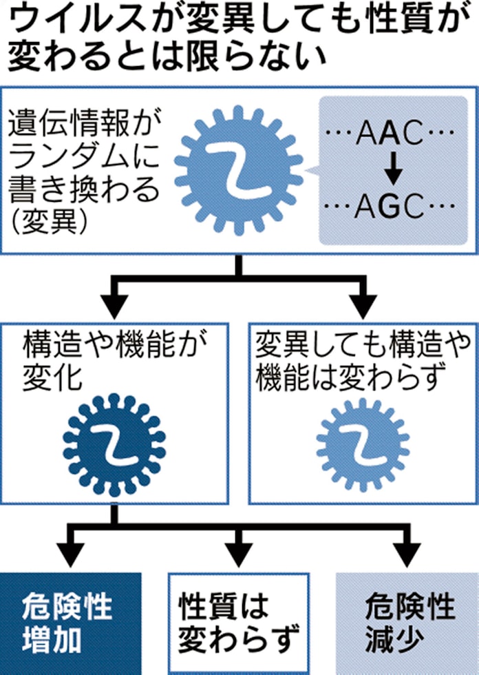 新型コロナ コロナ 弱毒化 根拠乏しく 変異で感染力左右も 日本経済新聞