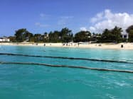 海岸を清掃するボランティアら 海岸を清掃するボランティアら