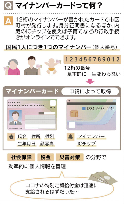 見てわかる マイナンバーカード 普及の切り札は 日本経済新聞