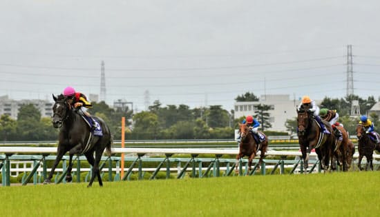 クロノジェネシス(左端)が制した第61回宝塚記念。レース単体の売り上げは200億円を突破した=共同