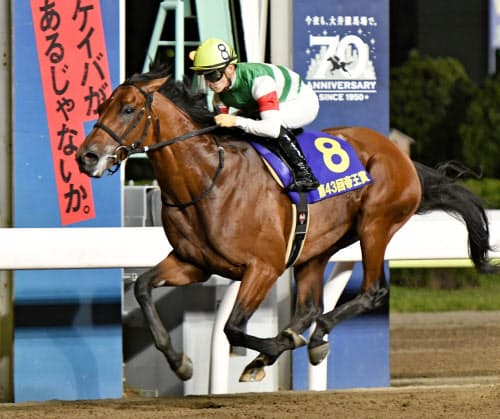 大井競馬場で行われた帝王賞を制したクリソベリル。このレースの売り上げは従来のレコードを更新する29億円に達した=共同