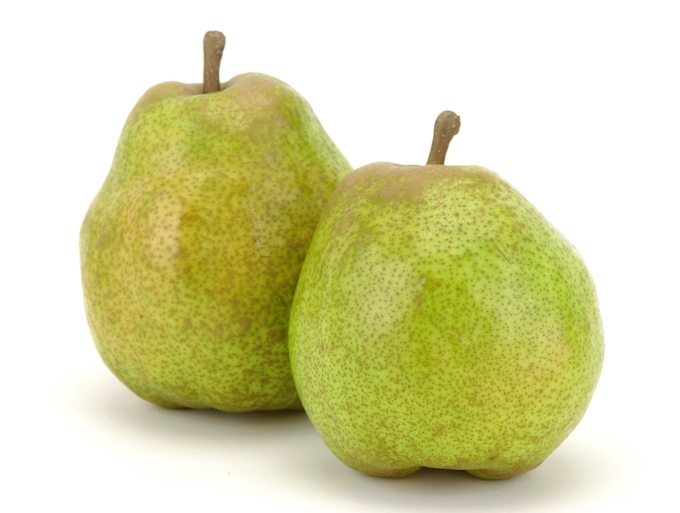 山形ラ フランス Gi登録 国際的にブランド保護 日本経済新聞