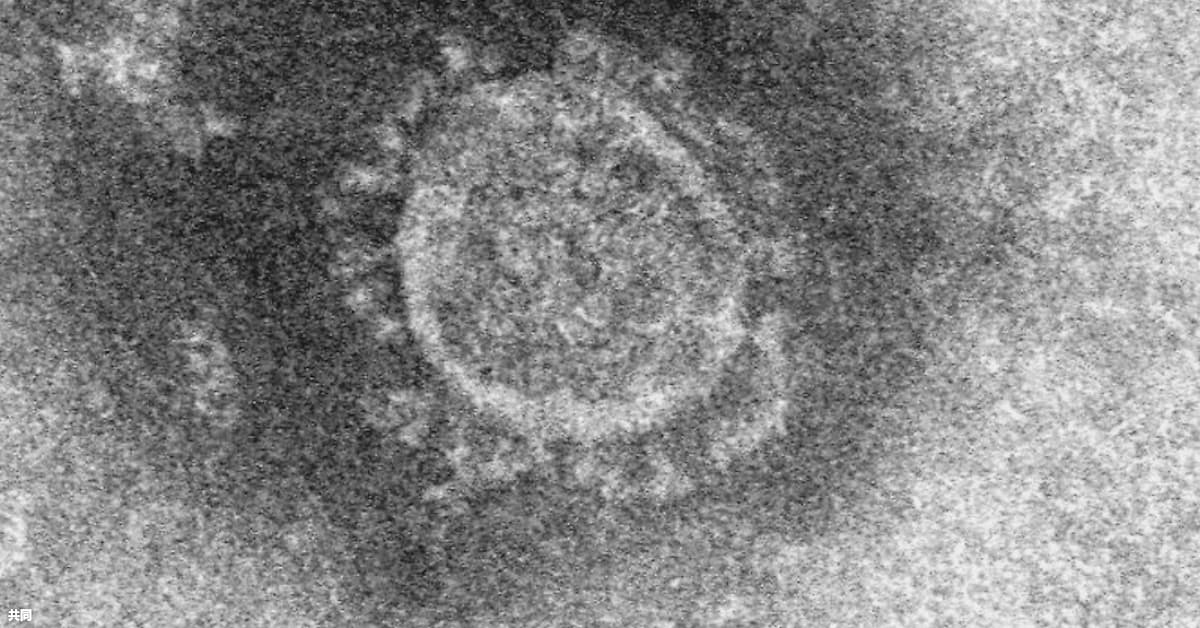 新型コロナウイルスに人の免疫抑えるたんぱく質 日本経済新聞