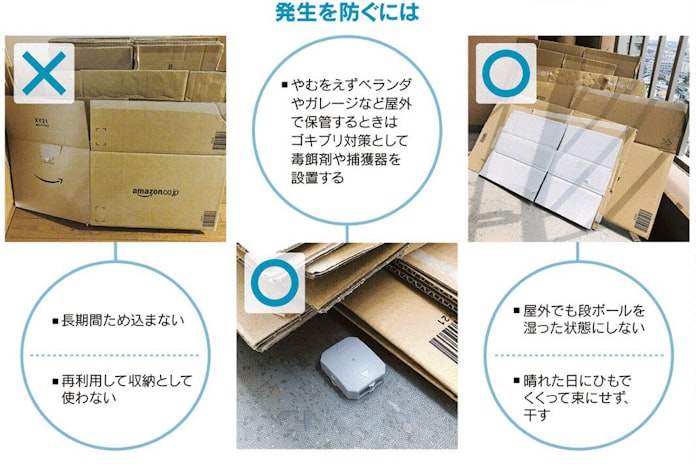 通販段ボールにご用心 長期保管でゴキブリ潜む 日本経済新聞 通販段ボールにご用心 長期保管でゴキブリ潜む 日本経済新聞